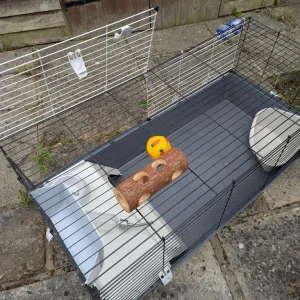 Rabbit cages - Image 2