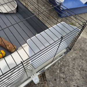 Rabbit cages - Image 4