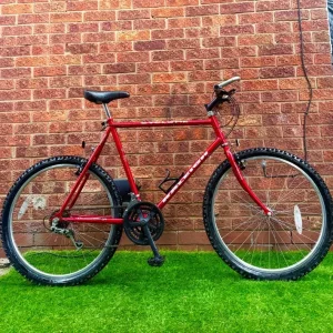 RALEIGH CYCLONE XXL 23” MOUNTAIN BIKE