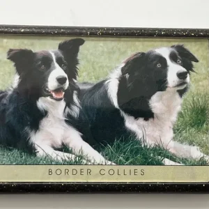 BORDER COLLIE FRIDGE MAGNET