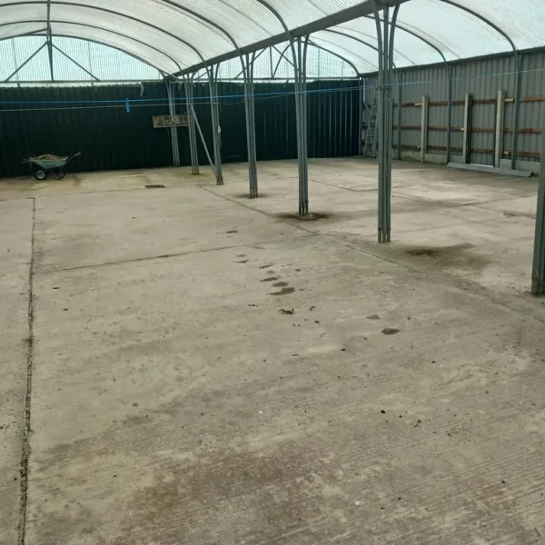 Classic Car Storage Unit with Partition Option