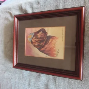 Small Louis Wain Framed Print