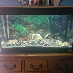 Fluval 80cm fish aquarium - Image 2