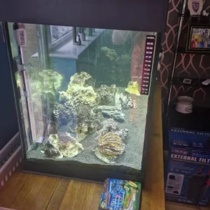 Fluval 80cm fish aquarium - Image 3
